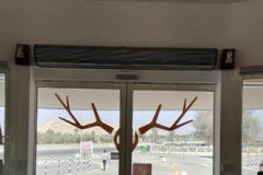 DEER CAFE